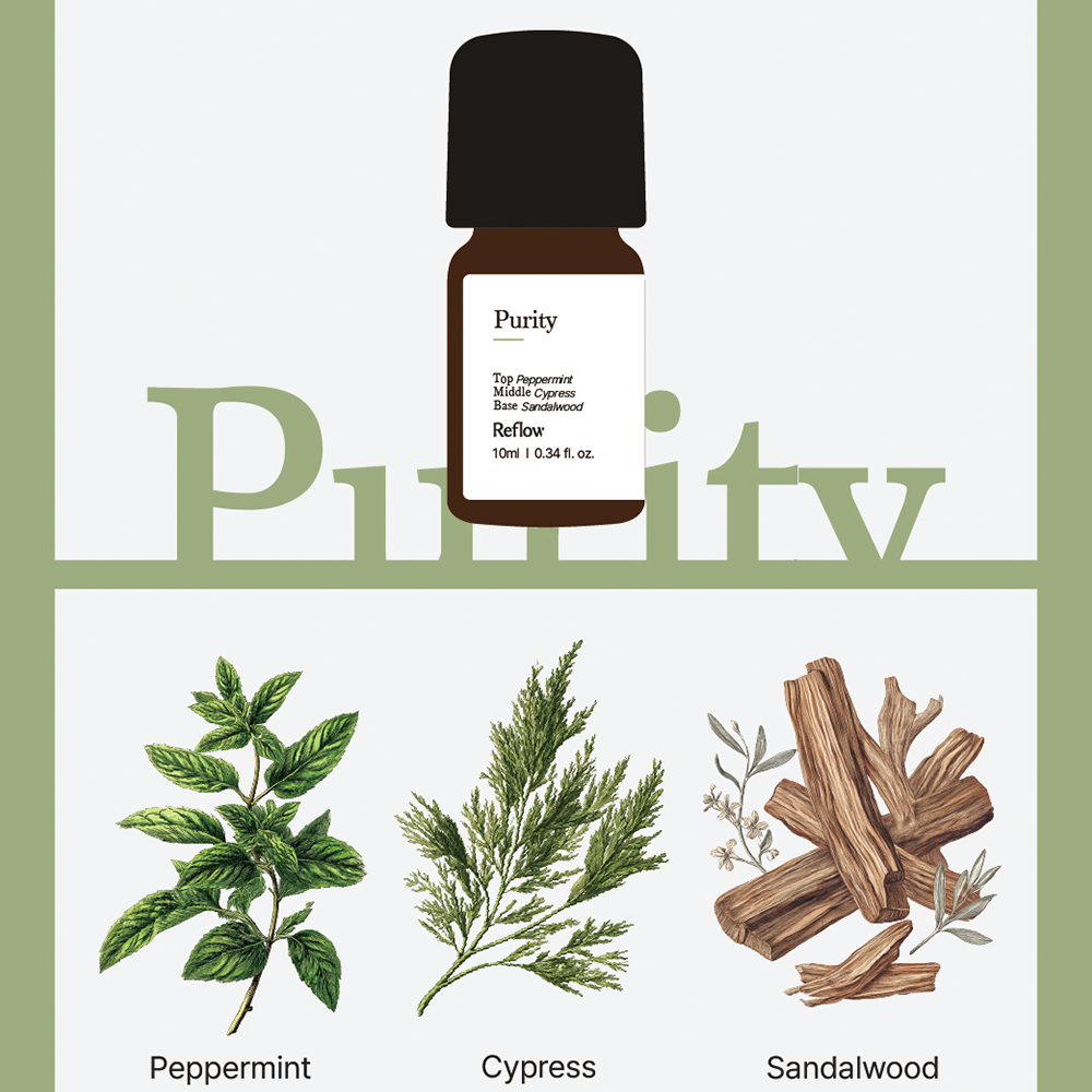 Purity | Essential Oil 10ml