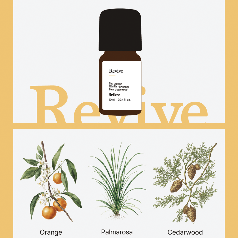 Revive | Essential Oil 10ml