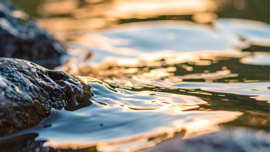 The Lymphatic System: Your Inner River of Renewal