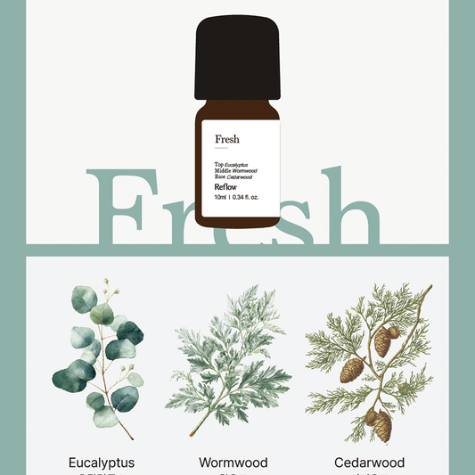 Fresh | Essential Oil 10ml (PRE SALE)